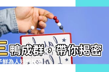 【鴨子】三鴨成羣，帶你揭密鴨子鮮為人知的秘密