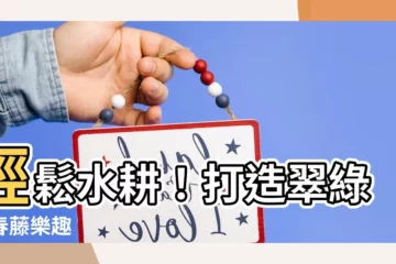 【常春藤水耕】輕鬆水耕！打造翠綠常春藤樂趣