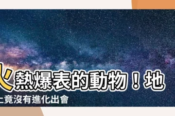 【火 動物】火熱爆表的動物！地球上竟沒有進化出會噴火的生物？