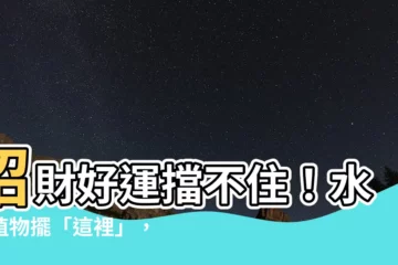 【水種植物招財】招財好運擋不住！水種植物擺「這裡」，風水大躍進！