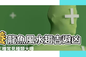 【龍魚 風水】養龍魚風水趨吉避兇！三種常見種類大曝光，主人必知！