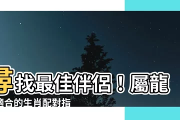 【屬龍適合的生肖】尋找最佳伴侶！屬龍者適合的生肖配對指南
