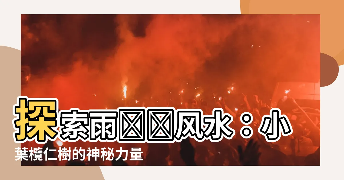 【雨傘樹風水】探索雨傘樹風水：小葉欖仁樹的神秘力量解密