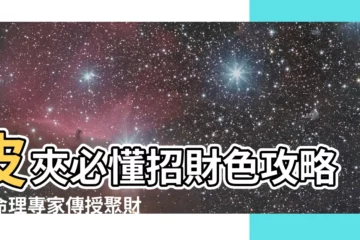【招財色】皮夾必懂招財色攻略！命理專家傳授聚財守財撇步