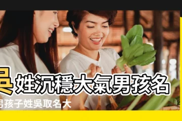 【好聽的姓吳的男孩名字大全集】吳姓沉穩大氣男孩名字男孩子姓吳取名大全集 |姓吳男孩名字 |姓吳男孩名字大全 |