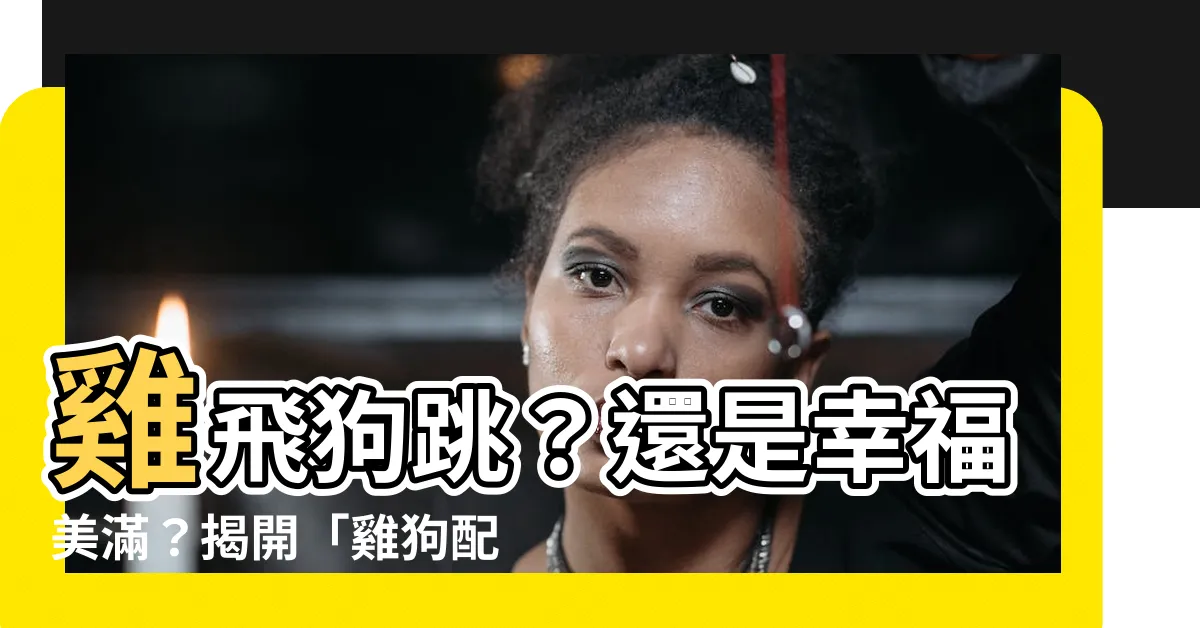 【雞狗配】雞飛狗跳?還是幸福美滿?揭開「雞狗配」的婚姻真相!