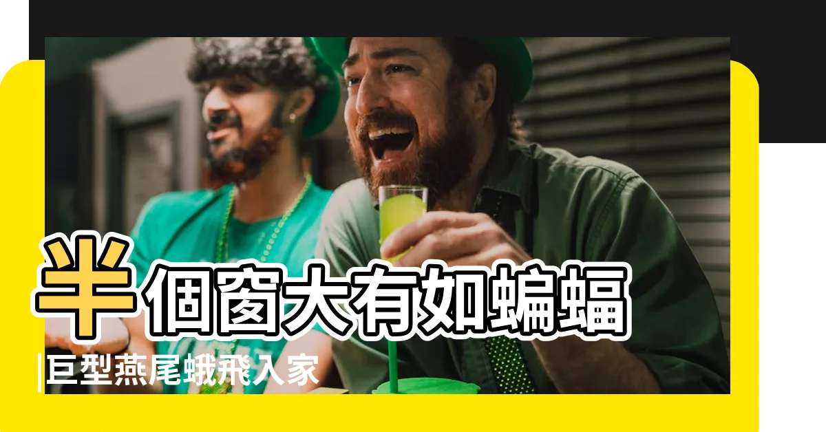 【飛蛾入屋意思】半個窗大有如蝙蝠 |巨型燕尾蛾飛入家中 |飛蛾入屋 |