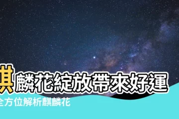 【麒麟花風水】麒麟花綻放帶來好運！全方位解析麒麟花風水