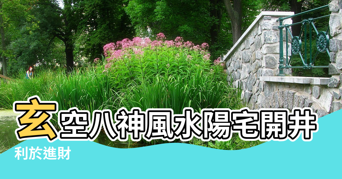 【開井風水】玄空八神風水陽宅開井佈局 |利於進財 |村裡的井開在這些地方 |