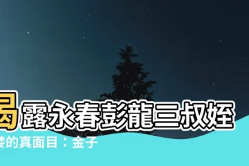 【彭龍三貪】揭露永春彭龍三叔姪貪婪的真面目：金子與釘子的幕後交易