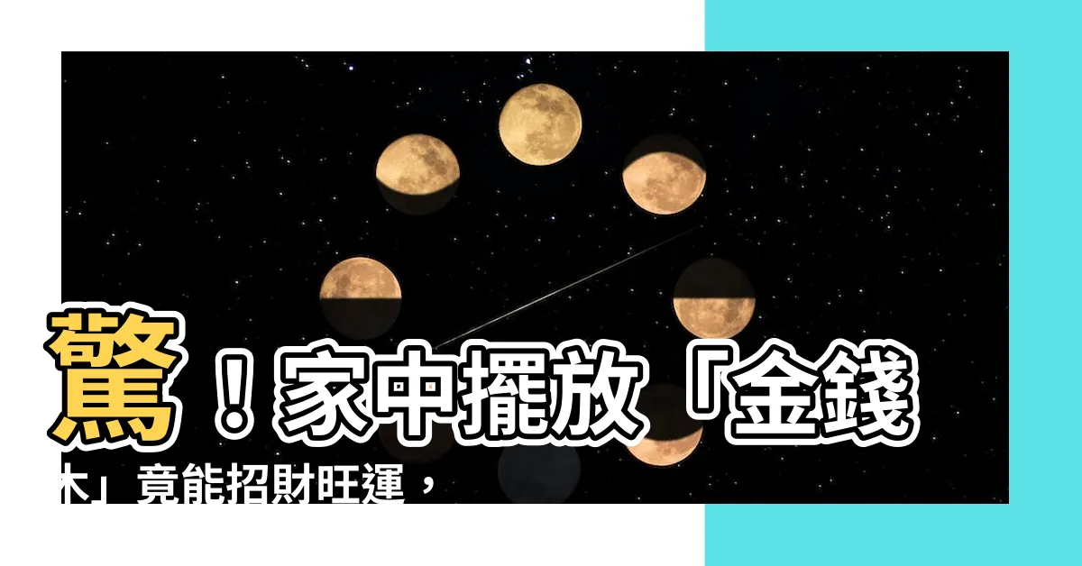 【金錢木風水】驚！家中擺放「金錢木」竟能招財旺運，揭開植物風水的秘辛