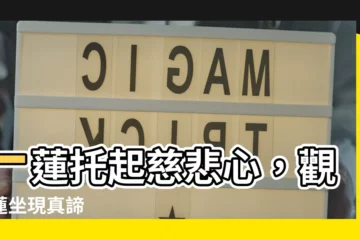 【觀音蓮坐】一蓮托起慈悲心，觀音蓮坐現真諦