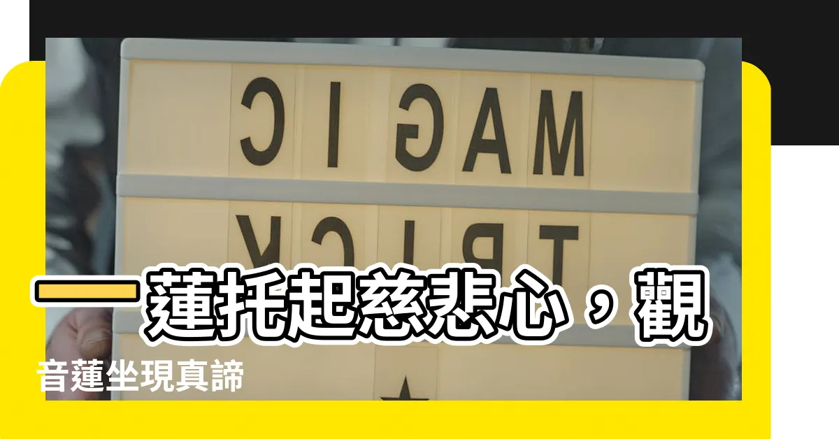【觀音蓮坐】一蓮托起慈悲心，觀音蓮坐現真諦