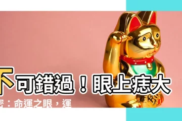 【眼上痣】不可錯過！眼上痣大解密：命運之眼，運勢無可限量！
