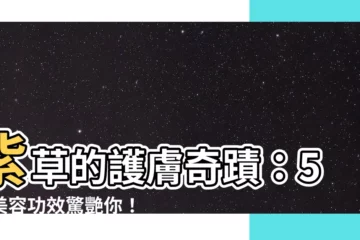 【紫草美容功效】紫草的護膚奇蹟：5大美容功效驚艷你！