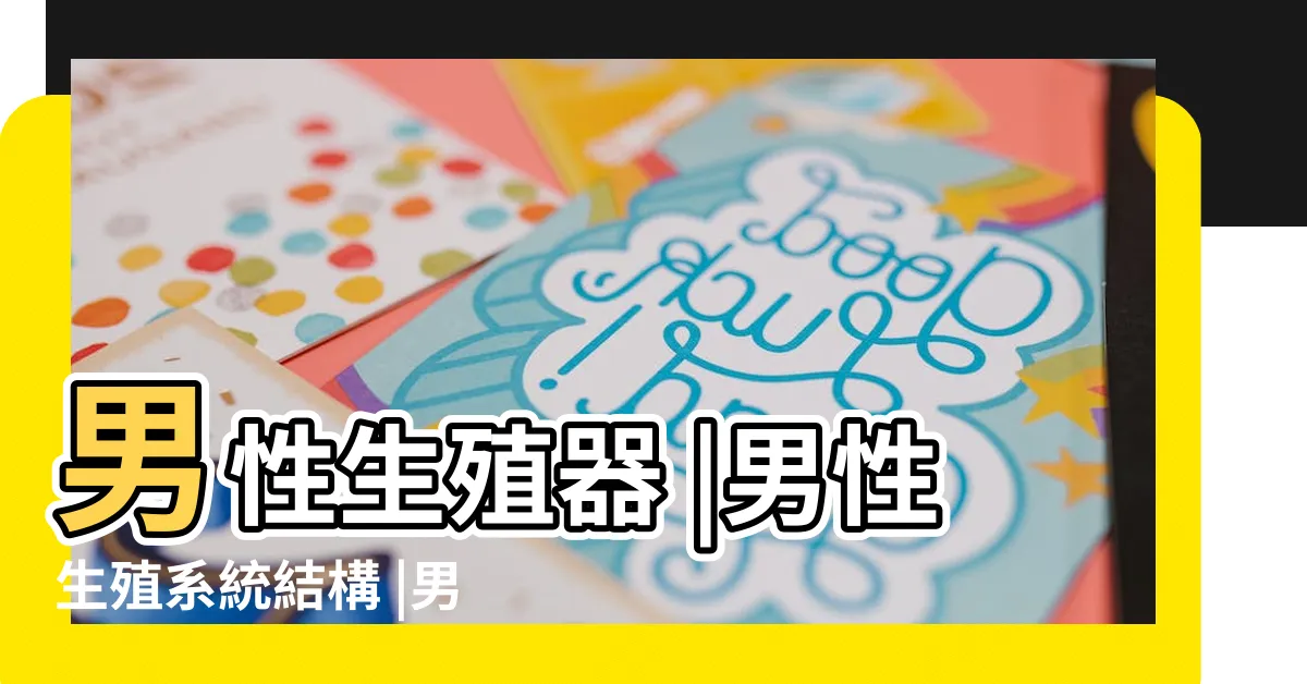 【男人性器官】男性生殖器 |男性生殖系統結構 |男性生殖系統 |