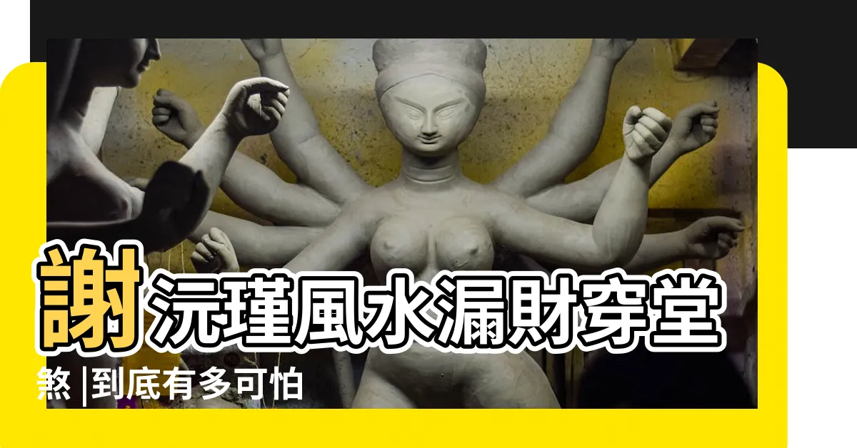 【穿堂煞化解窗簾】謝沅瑾風水漏財穿堂煞 |到底有多可怕 |教你用窗簾化解 |