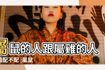 【屬雞女與屬鼠男相配嗎】屬鼠的人跟屬雞的人結婚配不配 |屬鼠男和屬雞女相配嗎 |男鼠女雞婚配怎麼樣男鼠女雞相配運勢緣分指數 |