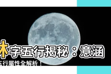 【林字五行】林字五行揭秘：意涵與五行屬性全解析！