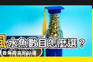 【風水魚數目】風水魚數目怎麼選？揭密養魚帶來的好運