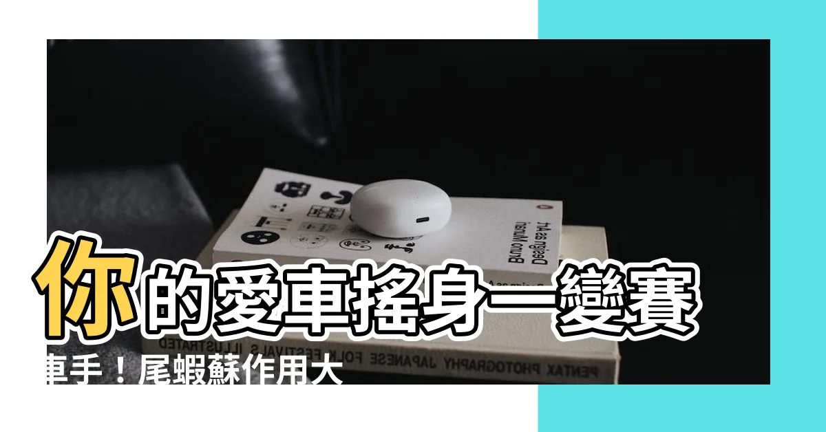【尾蝦蘇作用】你的愛車搖身一變賽車手！尾蝦蘇作用大解密，改裝必看