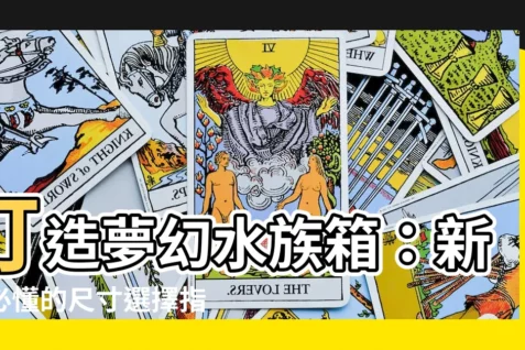 【水族箱尺寸】打造夢幻水族箱：新手必懂的尺寸選擇指南