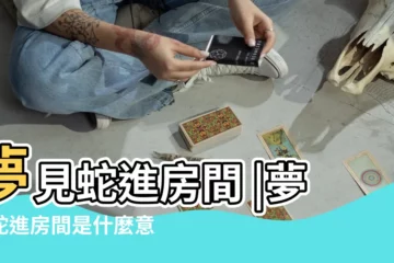 【夢見蛇跑進房間裏來了】夢見蛇進房間 |夢到蛇進房間是什麼意思 |夢見蛇進房間 |