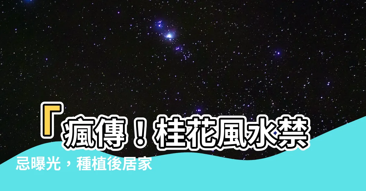 【桂花風水禁忌】「瘋傳！桂花風水禁忌曝光，種植後居家過劫不斷！」