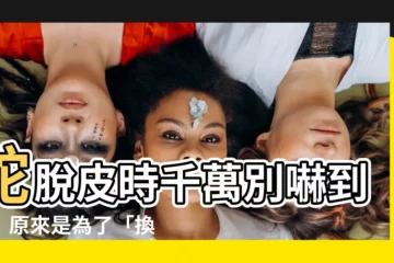 【蛇 脱皮】蛇脱皮時千萬別嚇到牠！原來是為了「換新裝」