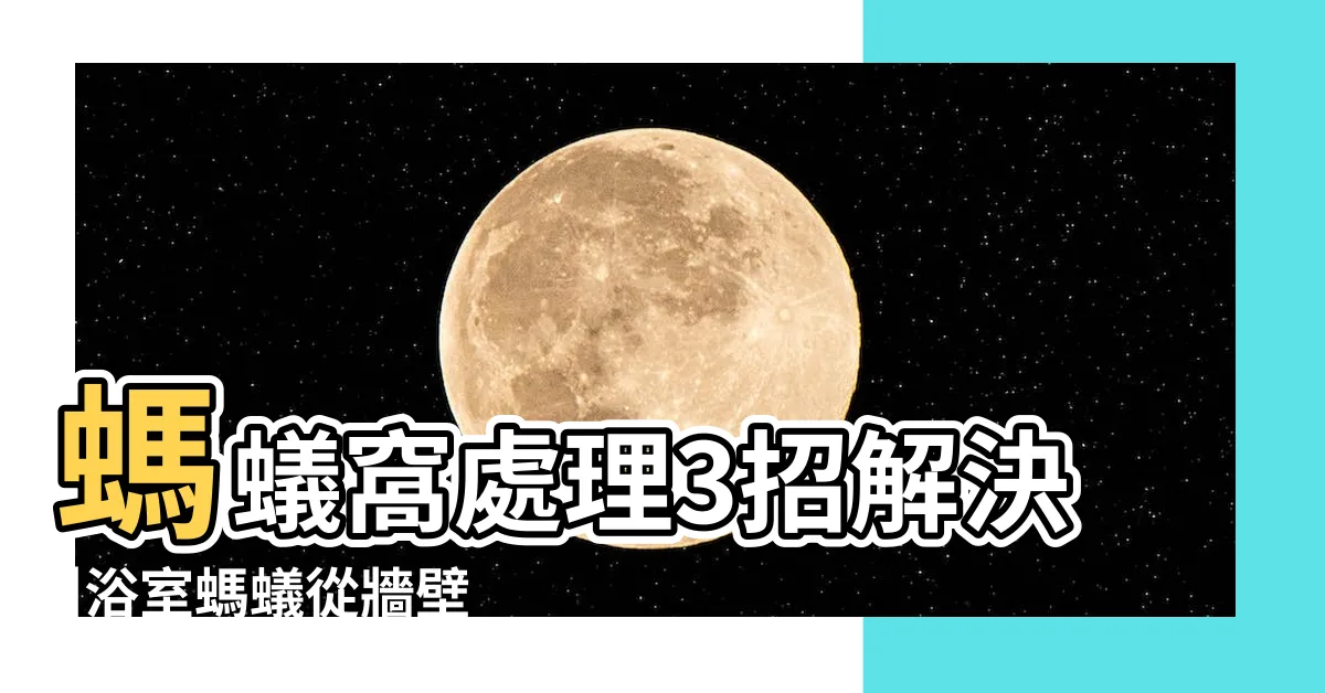 【螞蟻窩 牆壁】螞蟻窩處理3招解決 |浴室螞蟻從牆壁或排水孔鑽出來怎麼辦 |為什麼浴室突然很多螞蟻 |