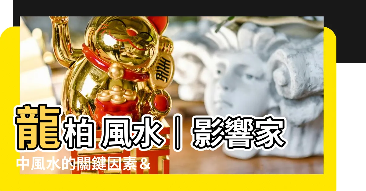 【龍柏 風水】龍柏 風水｜影響家中風水的關鍵因素＆擺放注意事項大公開