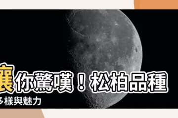 【松柏品種】讓你驚嘆！松柏品種的多樣與魅力