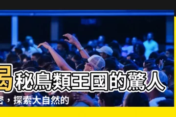 【鳥類】揭秘鳥類王國的驚人秘密，探索大自然的神奇之美！