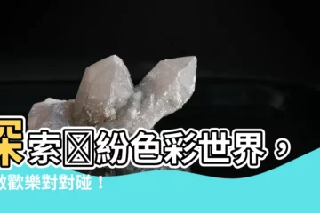 【顏色對對碰】探索繽紛色彩世界，開啟歡樂對對碰！