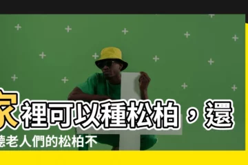 【家裡 可以種松柏 嗎】家裡可以種松柏，還是聽老人們的松柏不進宅？