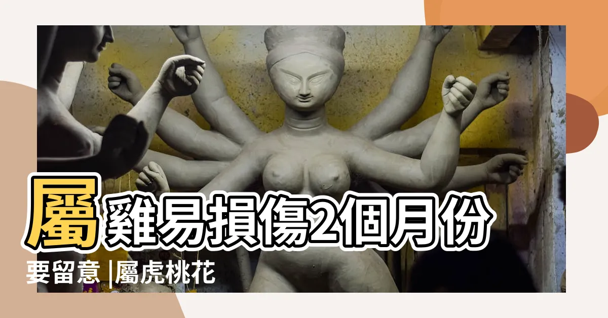 【2023 生肖運程】屬雞易損傷2個月份要留意 |屬虎桃花 |屬龍有貴人相助 |