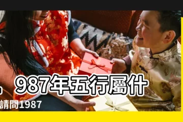 【1987年8月初8下午三點出生的人】1987年五行屬什麼 |請問1987年8月初5屬兔下午3 |生日1987年農曆6月14 |