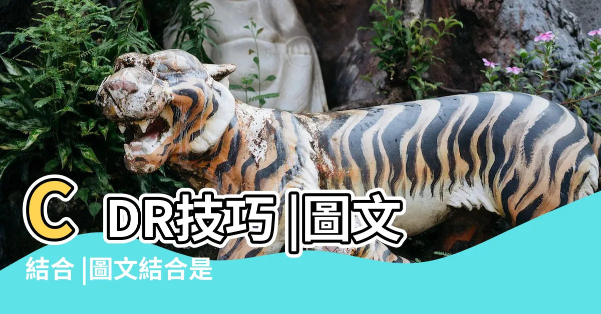 【圖文結合】CDR技巧 |圖文結合 |圖文結合是什麼意思 |