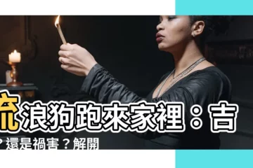 【流浪狗跑來家裡】流浪狗跑來家裡：吉兆？還是禍害？解開迷信的真相