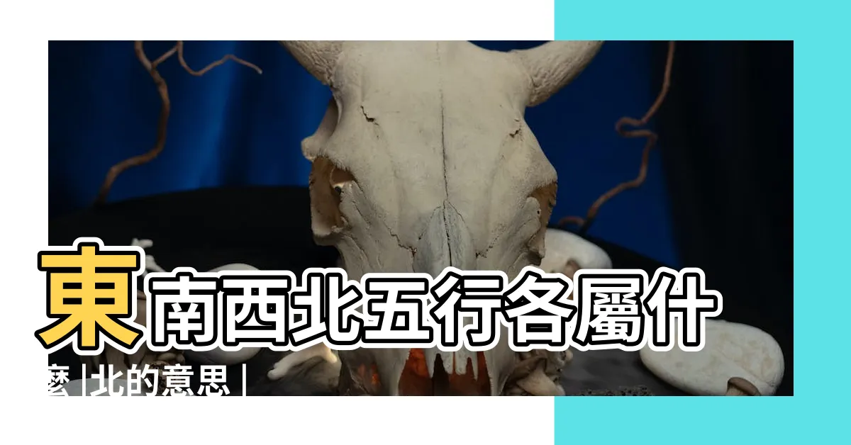 【北五行】東南西北五行各屬什麼 |北的意思 |搜索結果 |