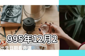 【1995陰曆12月29】1995年12月29日出生日期看命運 |1995年12月29日農曆多少號 |公曆1995年12月29日是農曆幾月幾號 |