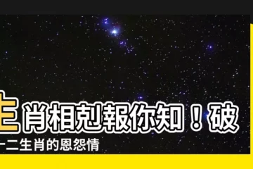 【生肖相剋】生肖相剋報你知！破解十二生肖的恩怨情仇