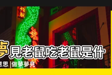 【夢見打死一隻老鼠拿給貓吃】夢見老鼠吃老鼠是什麼意思 |做夢夢見死老鼠好不好 |夢見貓吃老鼠 |