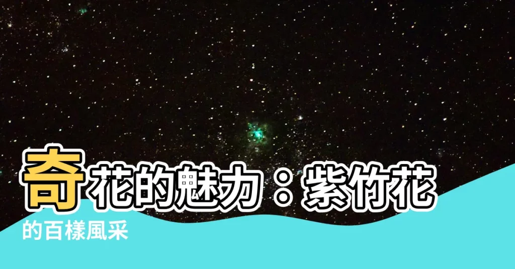 【紫竹花】奇花的魅力：紫竹花的百樣風采
