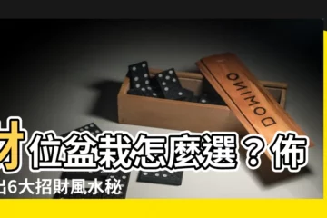 【財位盆栽】財位盆栽怎麼選？佈置出6大招財風水秘訣！