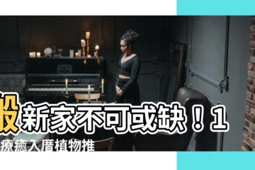 【入厝植物】搬新家不可或缺！10款療癒入厝植物推薦，讓你的新天地生機蓬勃