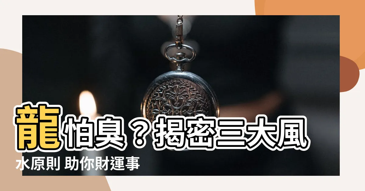 【龍怕臭】龍怕臭？揭密三大風水原則 助你財運事業亨通