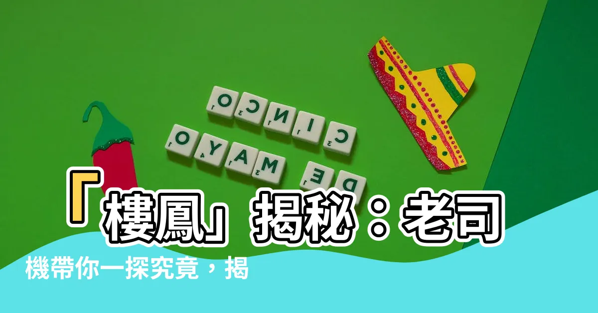 【樓鳳】「樓鳳」揭秘:老司機帶你一探究竟,揭開性淘金產業的江湖規矩