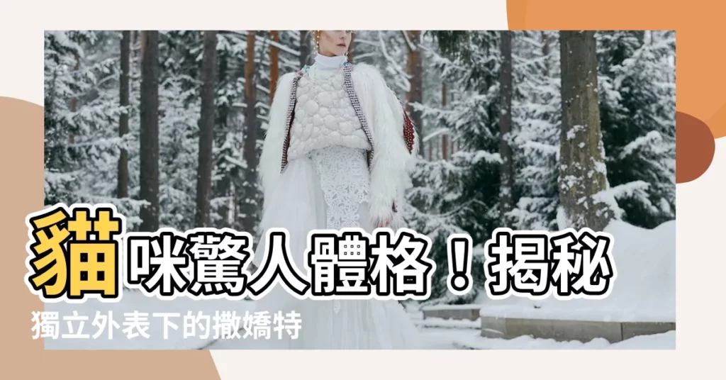 【貓咪特質】貓咪驚人體格！揭秘獨立外表下的撒嬌特質