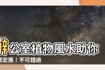 【辦公室 植物風水】辦公室植物風水助你事業宏展！不可錯過的風水攻略
